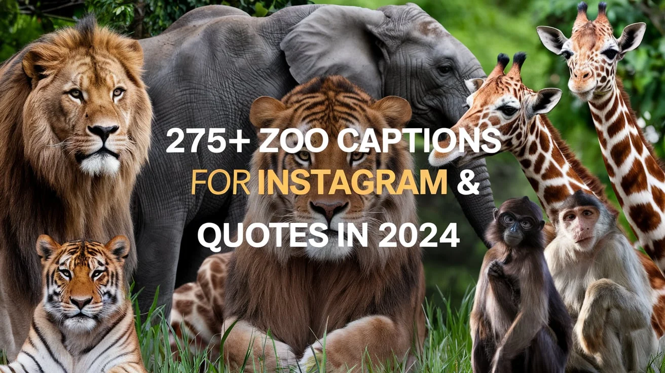 Zoo Captions For Instagram & Quotes