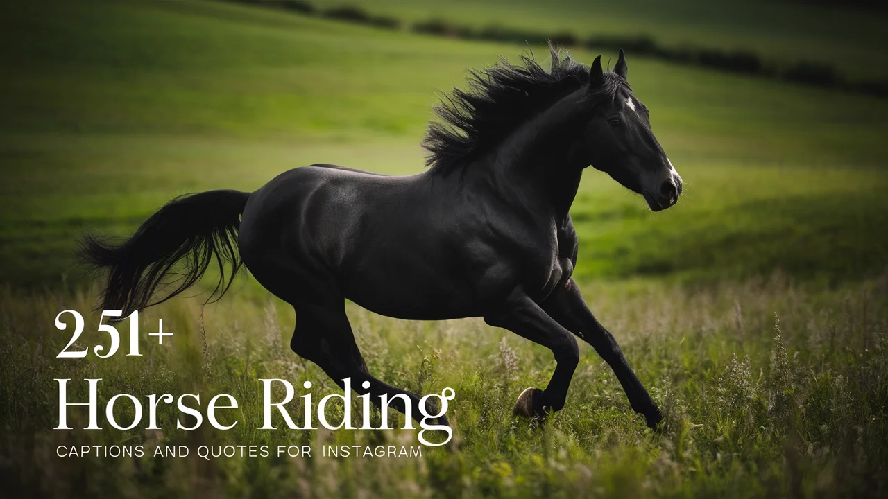 Horse Riding Captions and Quotes for Instagram