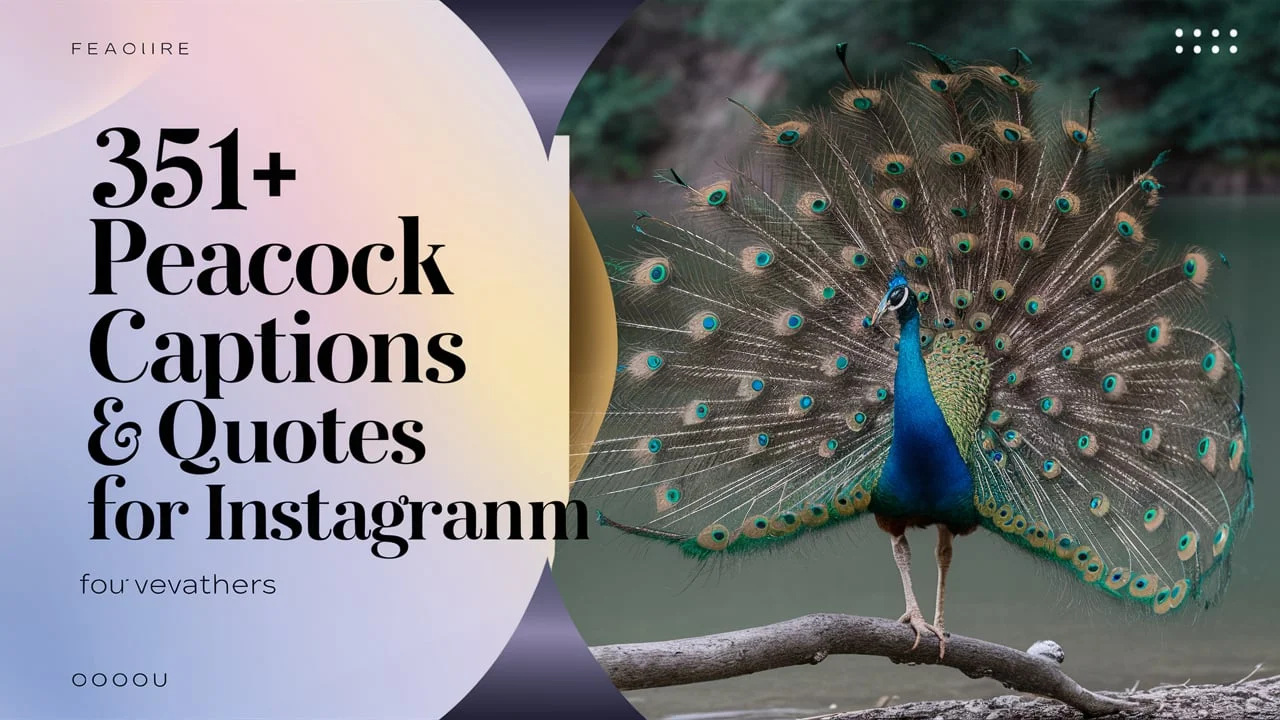 Peacock Captions & Quotes for Instagram