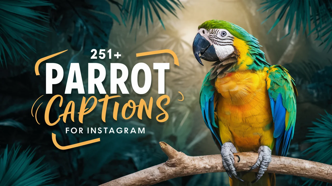 Parrot Captions For Instagram